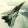 avatar of plane boy