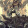 avatar of Sefa Pkdmr