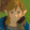 avatar of Devin Bolt