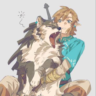 avatar of link_zeldaa