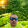 avatar of El_Morales