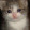 avatar of user2903524251