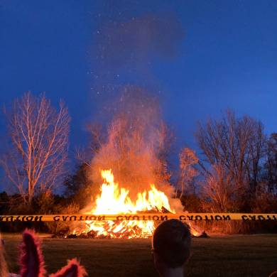 avatar of Just A Fan