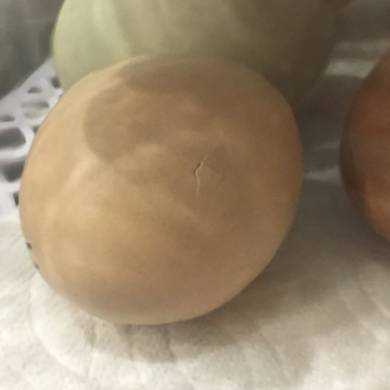 avatar of 3d print king