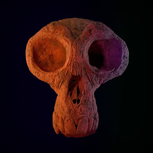 avatar of Mi Réplica 3D