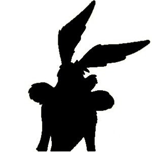 avatar of confusedCoyote