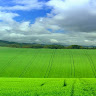 avatar of WestonRG