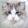avatar of cat maker