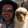 avatar of user8051013065