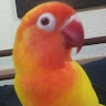 avatar of Qiru