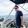 avatar of Shane Brlevich