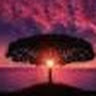 avatar of 권선중