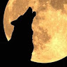 avatar of user1494650023