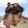 avatar of Leandro Dambroz