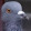 avatar of SGN VLOGS