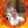 avatar of user6141032171