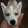 avatar of SkonerTM