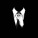 avatar of _ROY_ 1806_