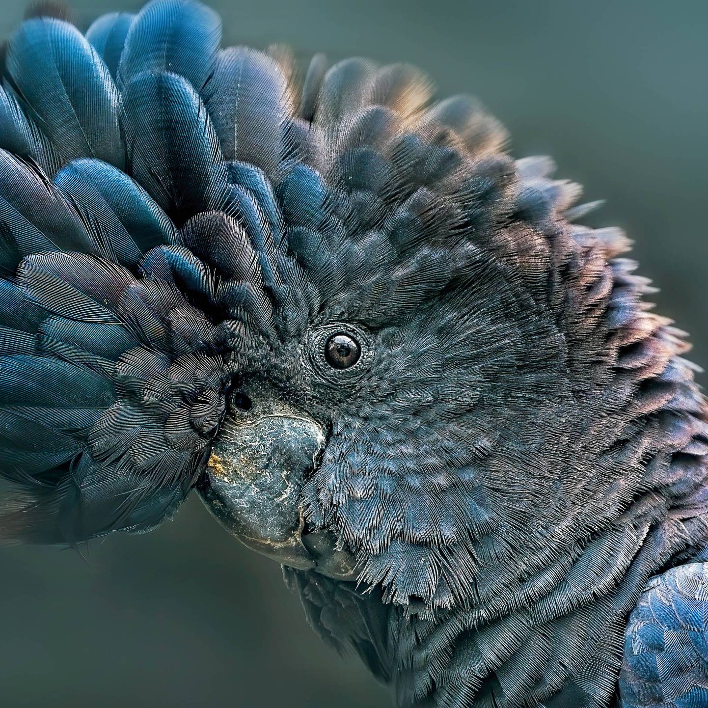 avatar of oldmangiles