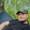 avatar of Dariusz Cichomski