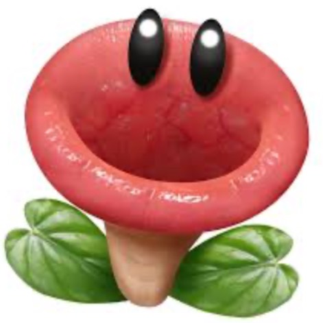 avatar of Mario64samario