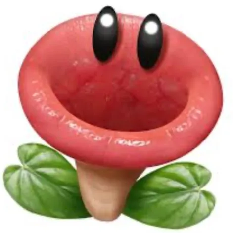Mario64samario
