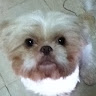 avatar of Gabriel Cheng