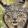 avatar of LarryK2 PLUS