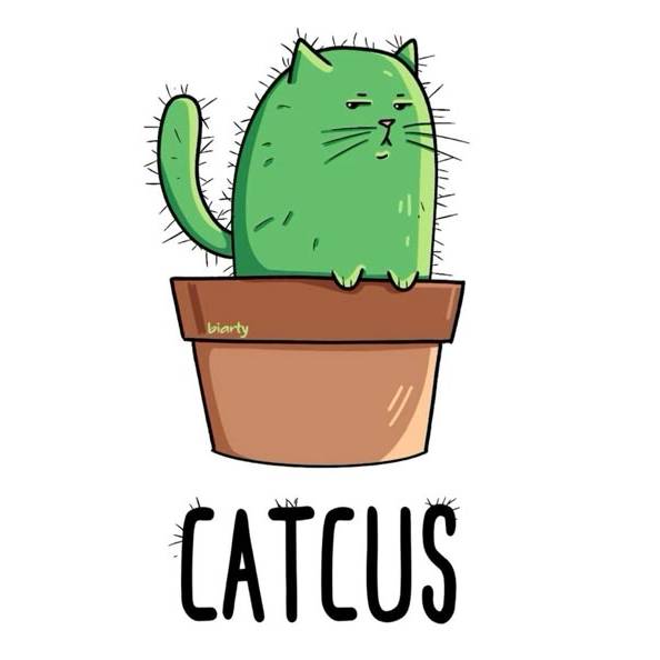 avatar of CAT_CUS