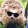 avatar of Andy Hendriks