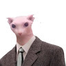 avatar of Connor Beverley