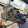 avatar of user5056285485