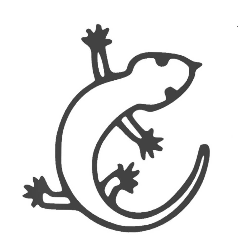 avatar of Bearded Maori