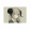 avatar of RE IBMHTP