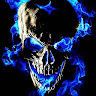 avatar of TPGDesigns