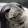 avatar of ChillSeal