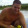 avatar of Sylvain Grenier