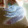 avatar of bluecat
