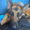 avatar of GRYaris