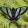 avatar of Sylphinamaker