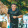 avatar of Anderson Barroso Vieira
