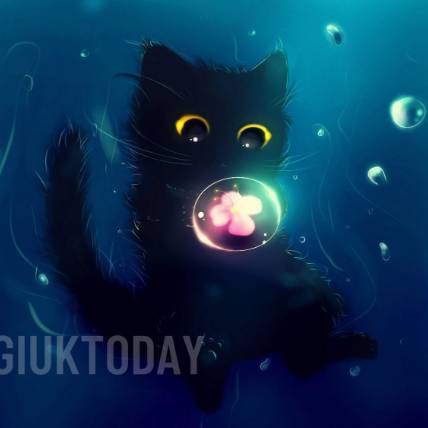 avatar of blackcat