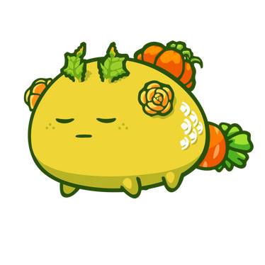 avatar of cocoliso555