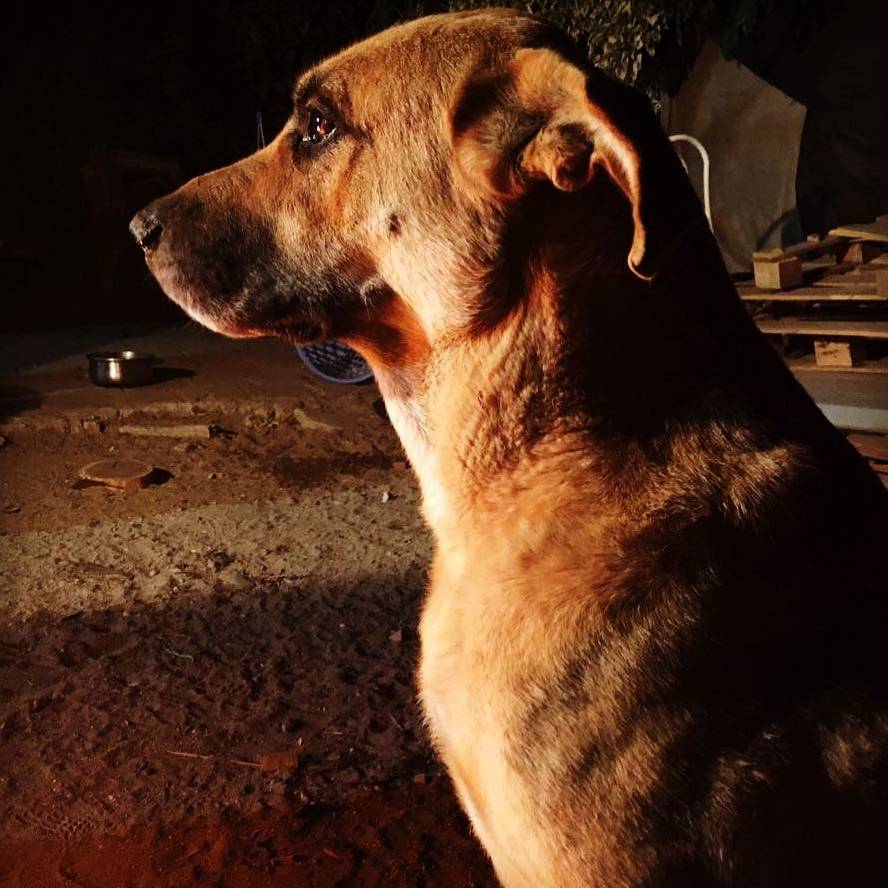 avatar of JP Serrano