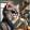 avatar of Good cat