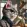 Good cat