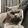 avatar of user2597321174
