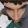 avatar of Beanspup
