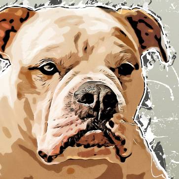avatar of love4bulldogs