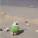 avatar of bubblemeteor